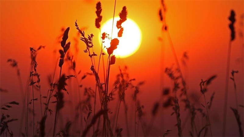 Nach der Hitze kommt Unwetter mit Starkregen Bevor der Wetterumschwung kommt, soll es noch einmal heiß werden.