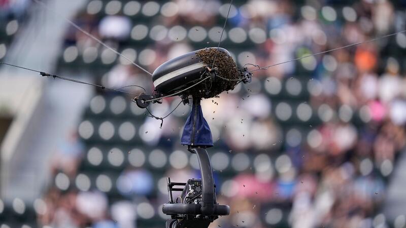 Nach Bienen-Attacke: Zverev scheidet in Indian Wells aus Bienen umschwirren eine Kamera in Indian Wells.