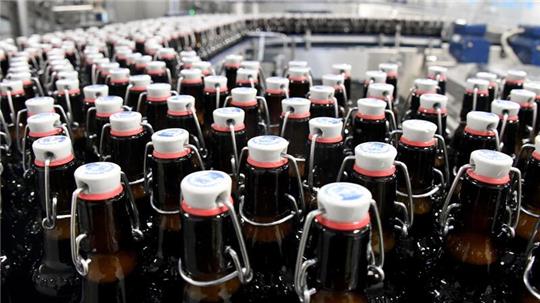 Bierflaschen laufen über ein Band in der Flensburger Brauerei.