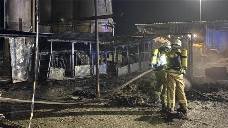 Kälber sterben bei Bauernhof-Brand