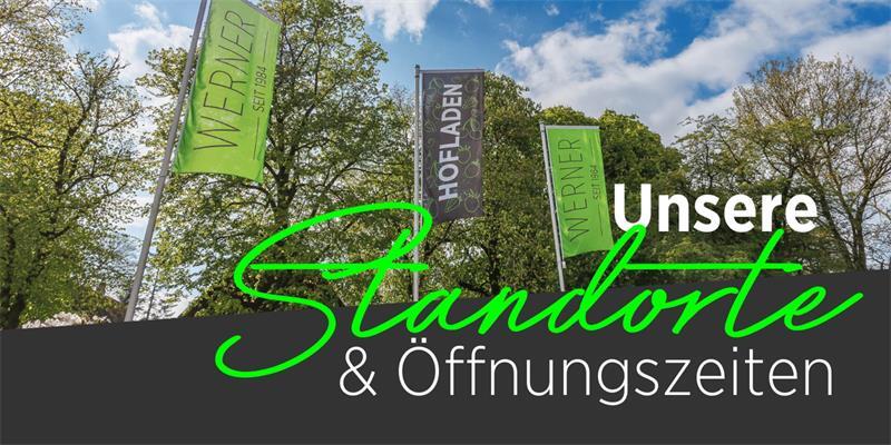 Feldfrische Beeren und Kirschen – jetzt unsere Hofläden und Verkaufsstände besuchen 