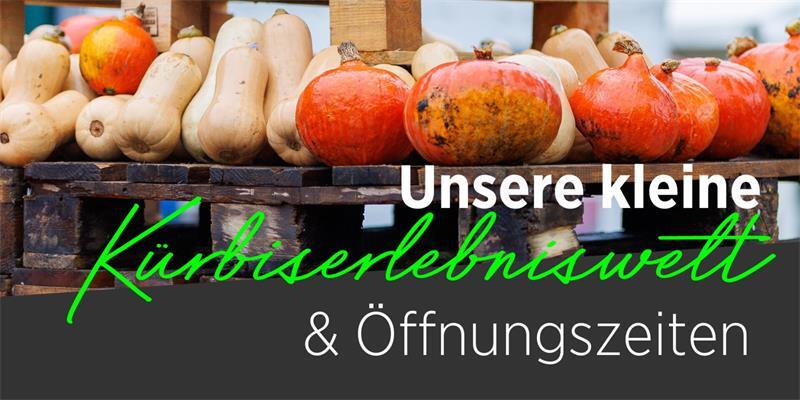 DIE KÜRBISSAISON 2026 STARTET – Jetzt unsere kleine Kürbis-Erlebniswelt besuchen! DIE KÜRBISSAISON 2026 STARTET – Jetzt unsere kleine Kürbis-Erlebniswelt besuchen!