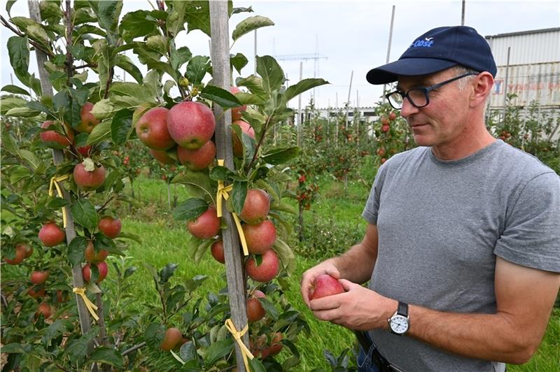 Exklusiv bei Edeka: Neuer Stern am Altländer Obstbau-Himmel Exklusiv bei Edeka: Neuer Stern am Altländer Obstbau-Himmel