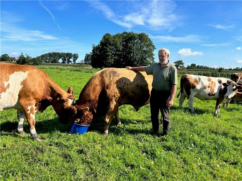 Angst vor dem Wolf: Was ein Landwirt aus Oederquart alles erlebte