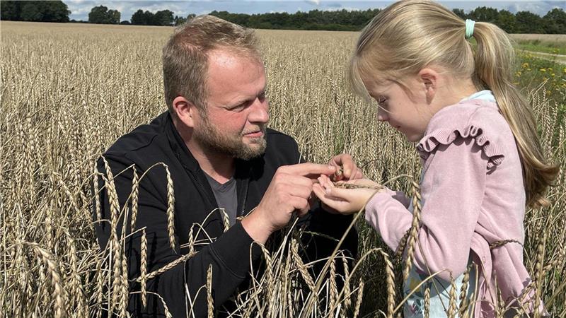 Wenn das Getreide nur noch als Futter für Biogasanlagen taugt Wenn das Getreide nur noch als Futter für Biogasanlagen taugt