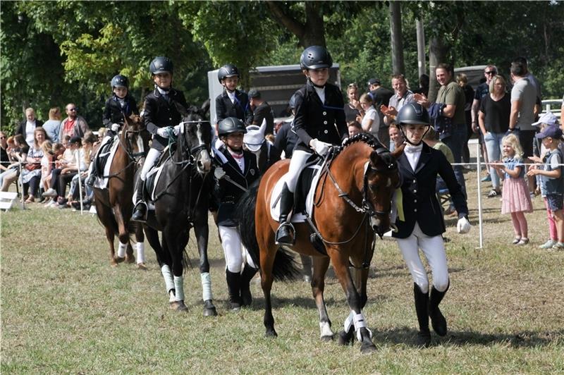 Reitturnier in Bokel mit einer Neuheit