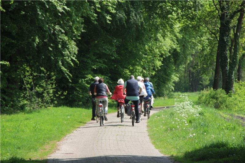 Gästeführung: Per Rad die Kirchen erkunden Gästeführung: Per Rad die Kirchen erkunden