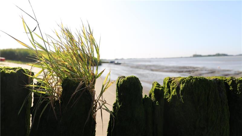 Aufspülung im Sommer: Hier entsteht ein neuer Strand