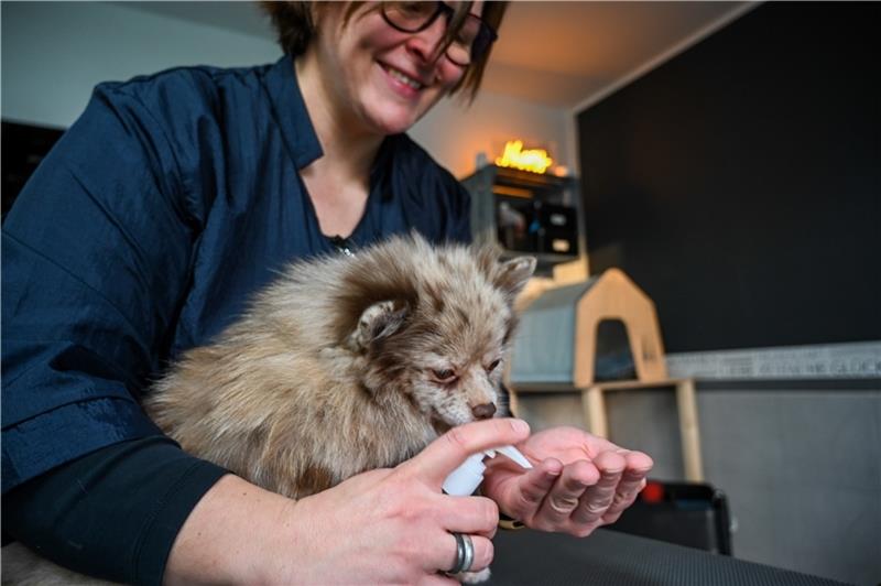 Wenn Hunde in Deinste Wellness machen