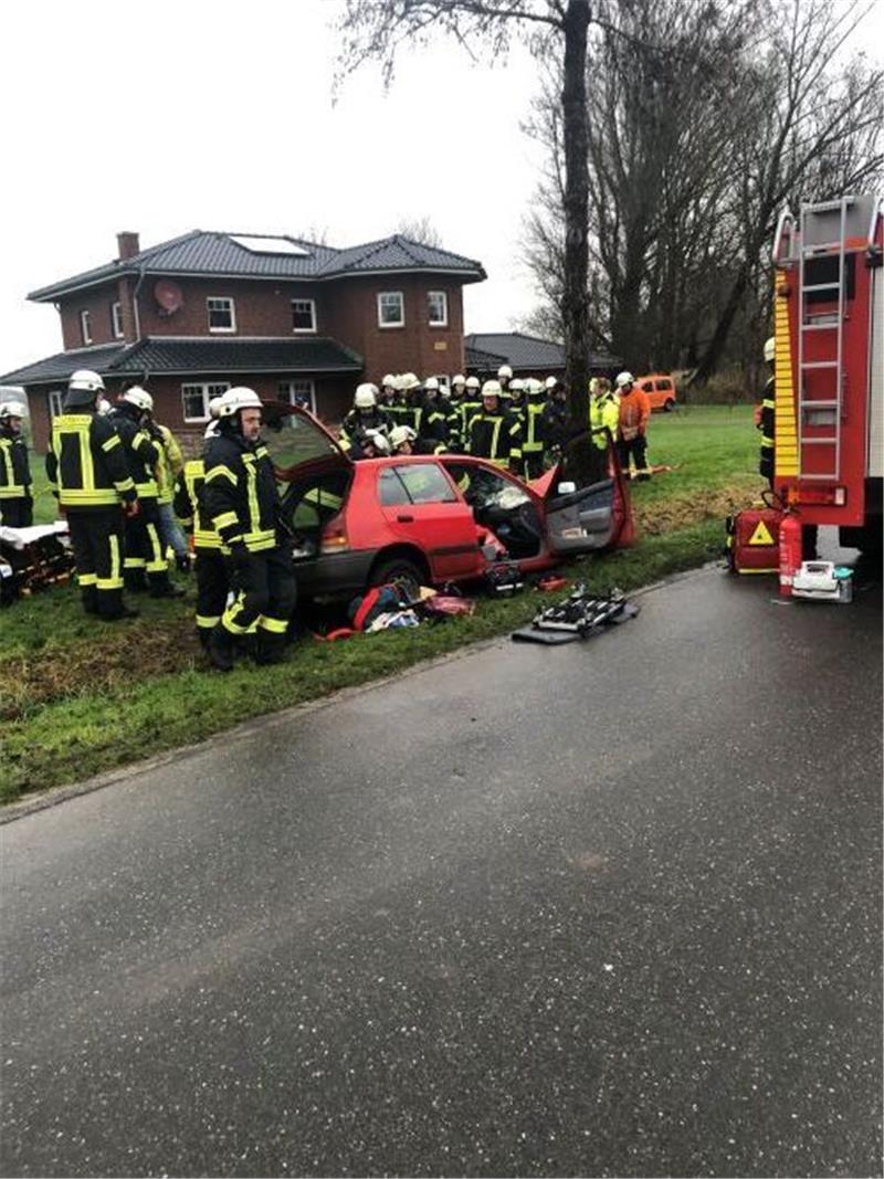 Seniorin prallt mit Auto in Balje gegen Baum – Schwerverletzt Seniorin prallt mit Auto in Balje gegen Baum – Schwerverletzt