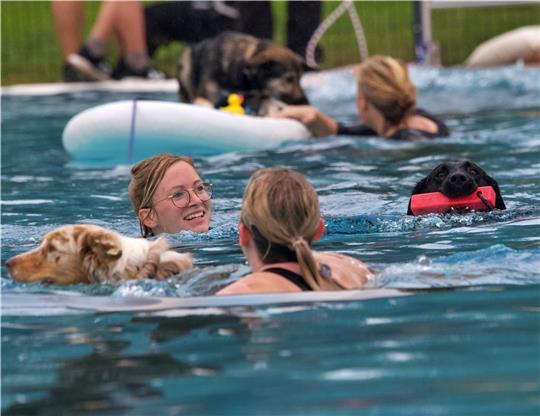 Wasserspaß für Hunde im Horneburger Freibad wird wiederholt