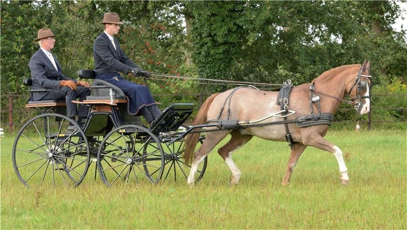 Titel verteidigt: Deutscher Meister der Pony-Fahrer kommt erneut aus Fredenbeck