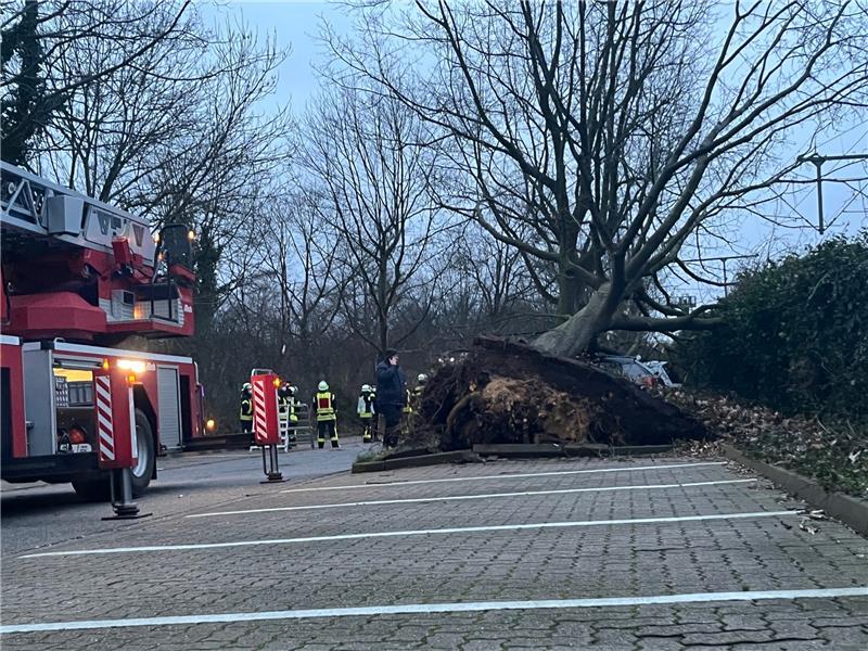 Unwetter-Bilanz: So wütete Sturmtief "Ylenia" im Landkreis Stade