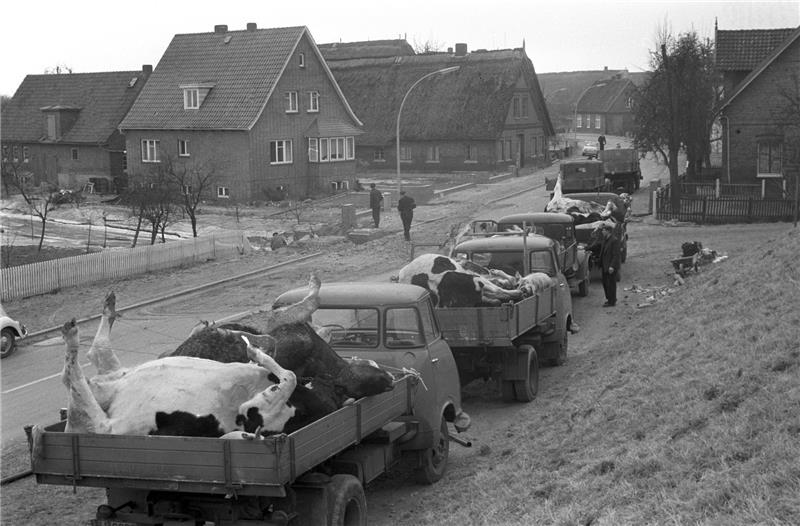 Zeitzeugen erinnern sich an Schrecken und Abenteuer der Sturmflut Zeitzeugen erinnern sich an Schrecken und Abenteuer der Sturmflut