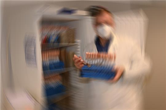 Diese Schadpilze verbergen sich im Giftschrank des Esteburg-Labors