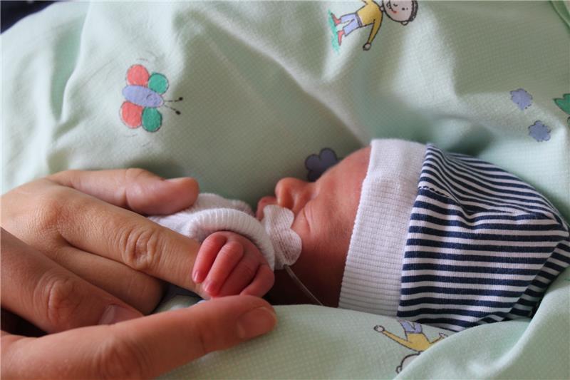 Elbe Kliniken wollen „Mutter-Kind-Zentrum“ auf der Neugeborenen-Intensivstation einrichten Elbe Kliniken wollen „Mutter-Kind-Zentrum“ auf der Neugeborenen-Intensivstation einrichten