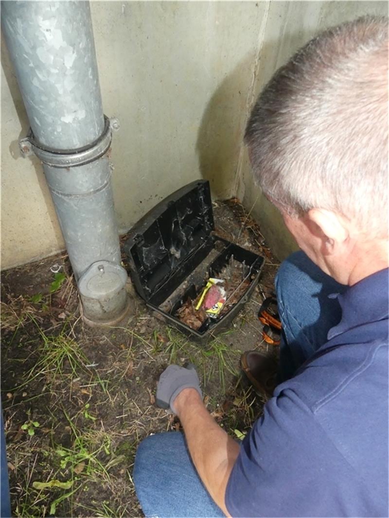 Den Ratten auf der Spur