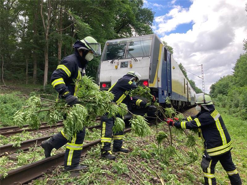 Regionalbahn überrollt Baum: Bahnstrecke am Sonnabend voll gesperrt