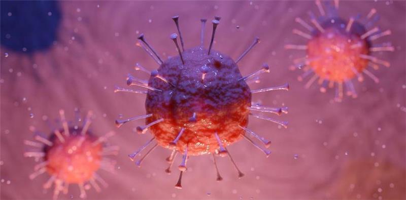 31 neue Corona-Fälle im Kreis Stade