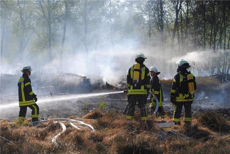 Waldbrand in Buxtehude