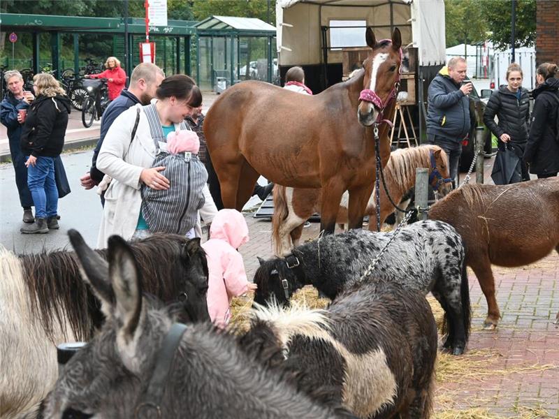 Herbstmarkt trotzt dem Regen