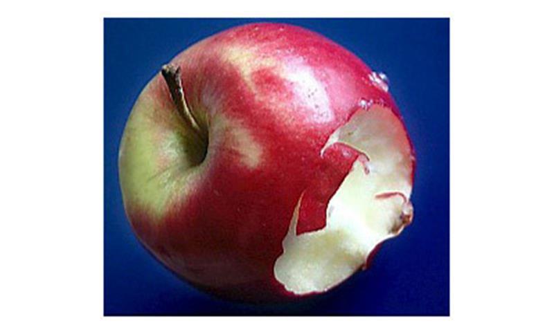 Buntes Treiben rund um den Apfel