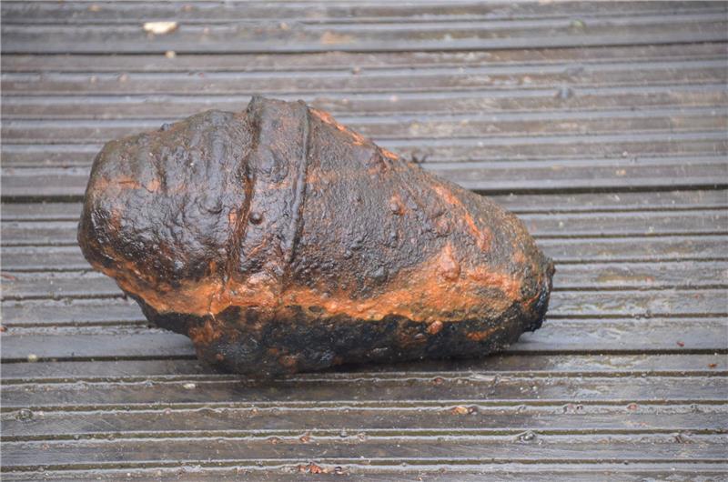 Panzerfaust im Stader Burggraben gefunden