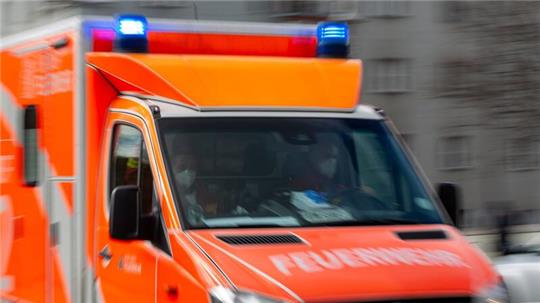 Vier losjagende Hunde erschrecken Pferd - Reiterin im Krankenhaus