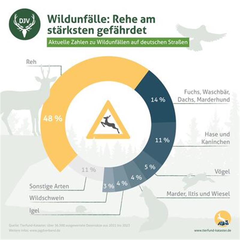 Frühjahr: Diese zwei Gefahren setzen Autofahrern zu