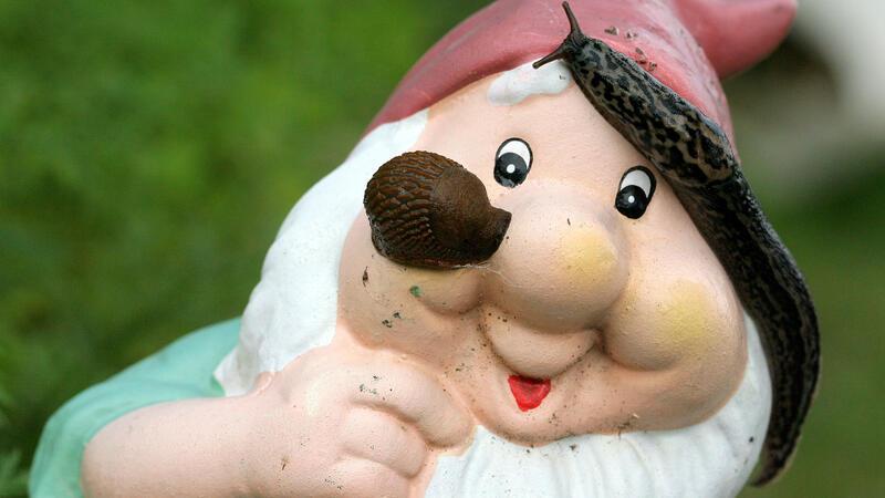 Drei Tipps gegen Nacktschnecken im Garten Drei Tipps gegen Nacktschnecken im Garten