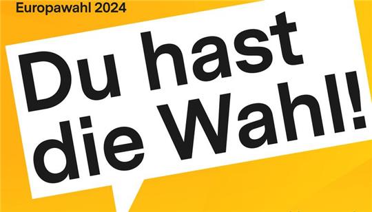 Wahl-O-Mat zur Europawahl: Welche Partei passt am besten zu mir?