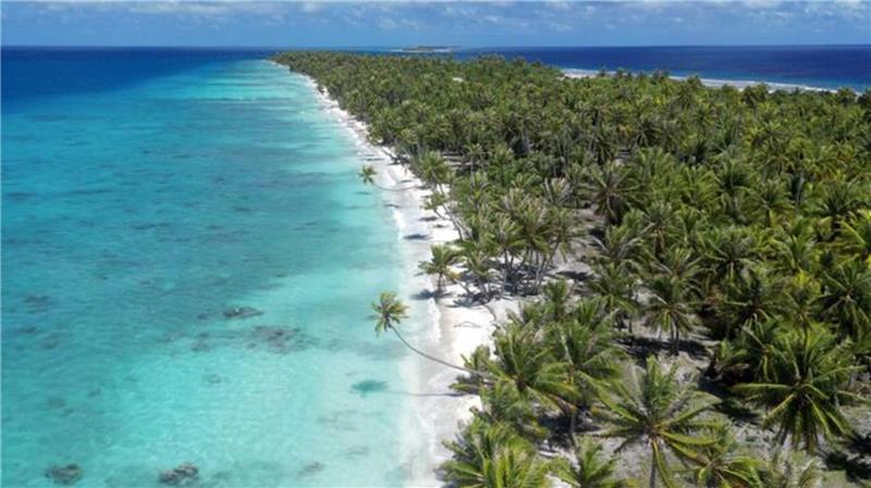 22-Jähriger aus Cuxhaven teilt Reisetipps – und erreicht damit Millionen Menschen Bilder von Palmen, Sand und blauem Meer, hier auf Fakarava/Französisch-Polynesien, wecken Sehnsüchte. Auf Julians Account können seine Follower mitreisen.