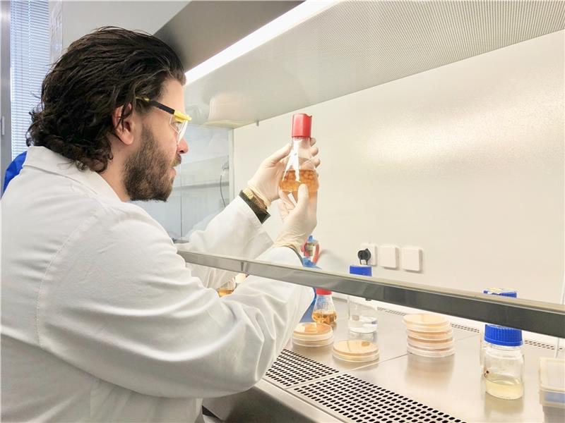 Biologe und Unternehmer Mazen Rizk im TUHH-Labor bei der Arbeit.