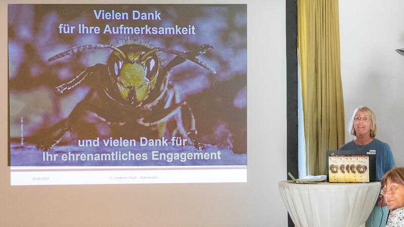 25 Jahre Wespenberatung: Warum die lästigen Tiere so wichtig sind Biologin Janette Hagedoorn-Schüch aus dem Naturschutzamt des Landkreises hatte 1999 die Wespenberatung ins Leben gerufen.