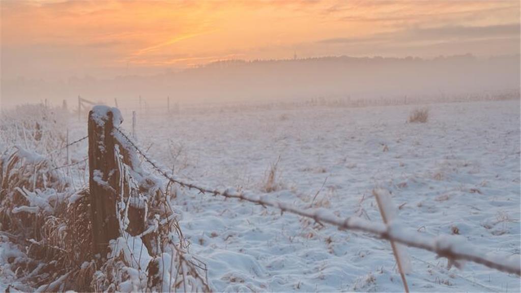 Birgit Eisenburger ist dieses stimmungsvolle Bild im Neukloster Moor gelungen.
