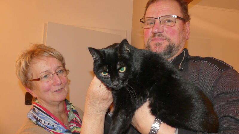 Noch immer keine Lösung: Die drei Nord-Kommunen haben ein Katzen-Problem Birgit und Klaus-Peter Rambow aus Barnkrug gehören zu den Ehrenamtlichen, die sich in der Gemeinde Drochtersen um Fundkatzen und deren Unterbringung und Vermittlung kümmern.