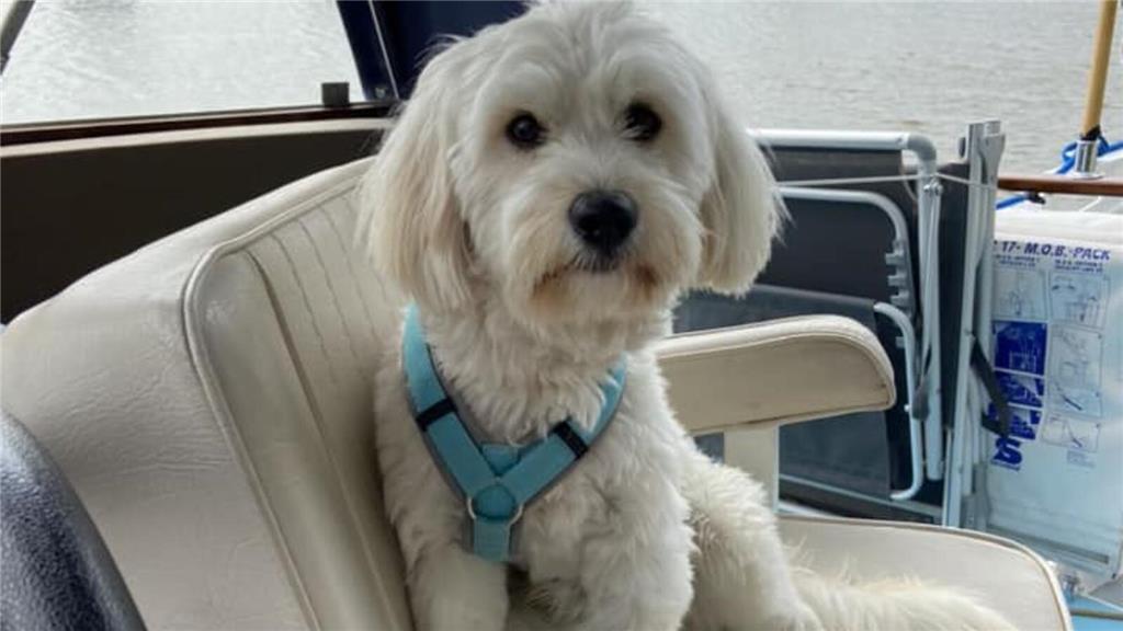 Birte: "Sam ist fast 1,5 Jahre jung und ein Wirbelwind. Er macht einfach alles m...