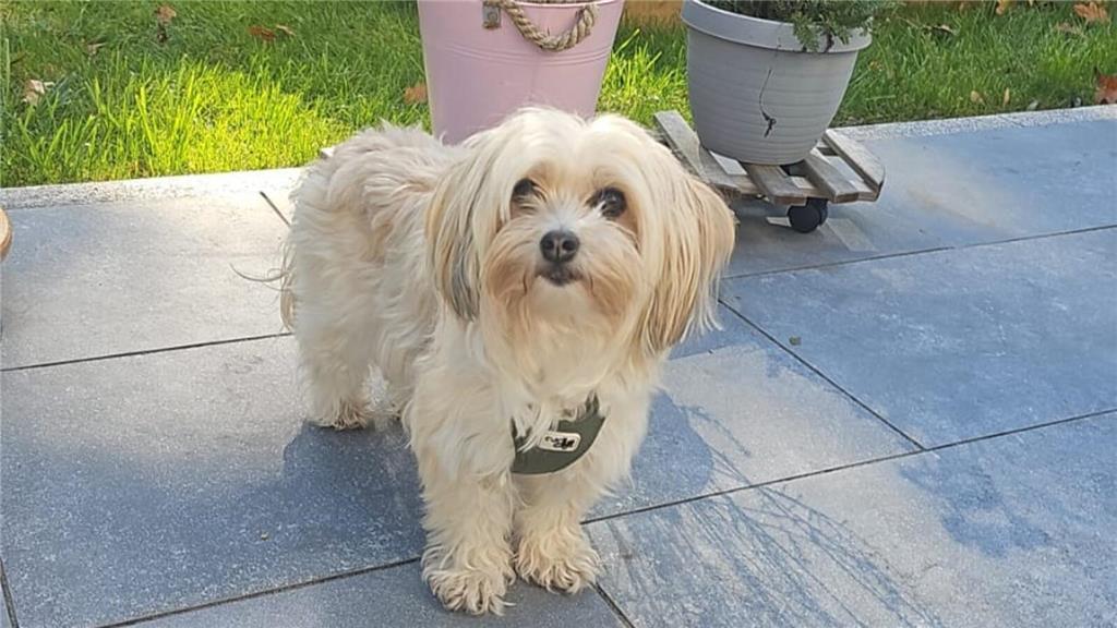 Birthe: "Frieda ist knapp drei Jahre alt und unser letztes Familienpuzzle-Stück ...