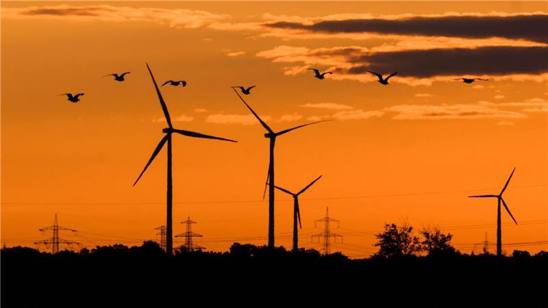Bis 2030 will Niedersachsen seine Treibhausgasemissionen um 75 Prozent senken, bis 2035 um 90 Prozent. Fünf Jahre später soll das Land klimaneutral sein. (Symbolbild)