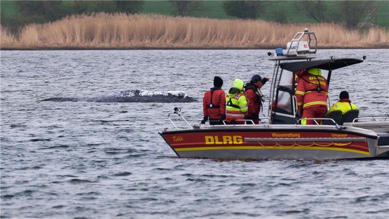 Bis Mittwoch wollen die Hilfskräfte noch auf Poel bleiben. (Archivbild)