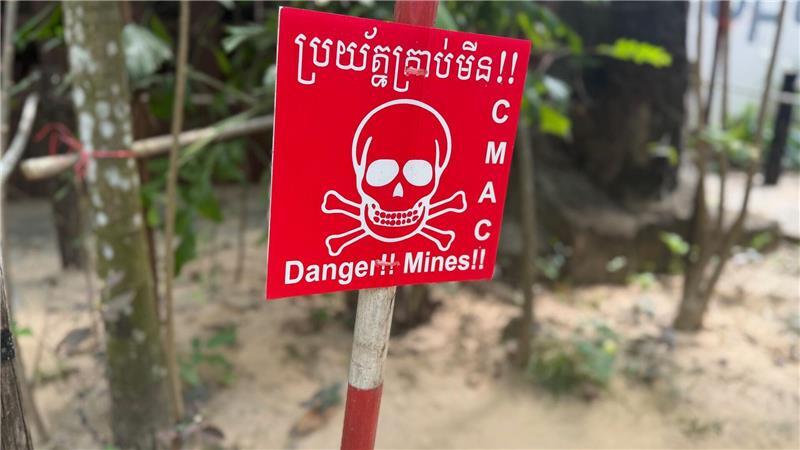 Denkmal für eine Ratte: Minenheld Magawa wird zur Legende Bis heute lauern in Kambodscha viele Minen im Boden.