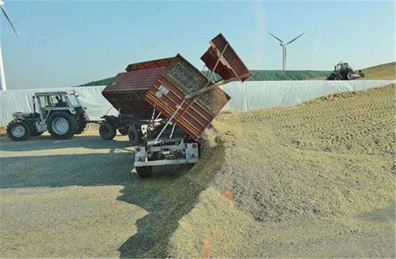 Bis zu 15 Tonnen gehäckselten Mais liefern die Schleppergespanne in einer Biogasanlage ab. Archivfoto: Beneke