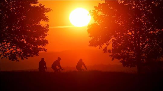 Bis zu 16 Sonnenstunden pro Tag sind am Wochenende möglich. (Archivbild)