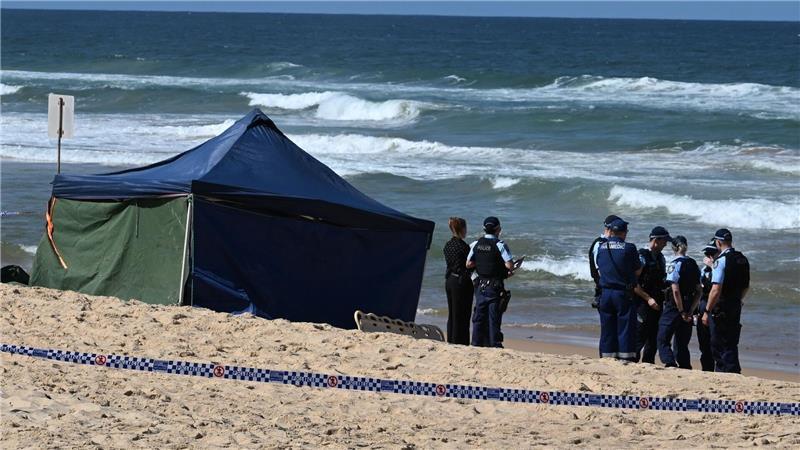 Bissspuren deuten darauf hin, dass der Surfer Opfer eines Weißen Hais wurde.