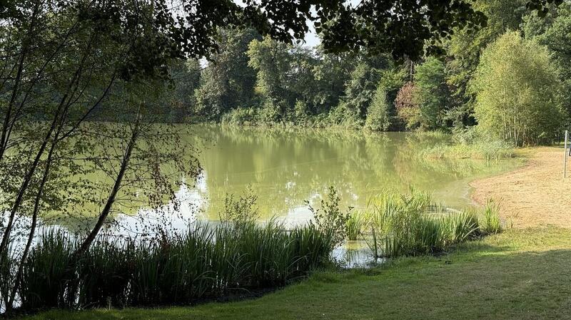 In Ufernähe entdeckt man am Heidestrandbad in Hemmoor deutliche Hinweise auf das Algenwachstum.