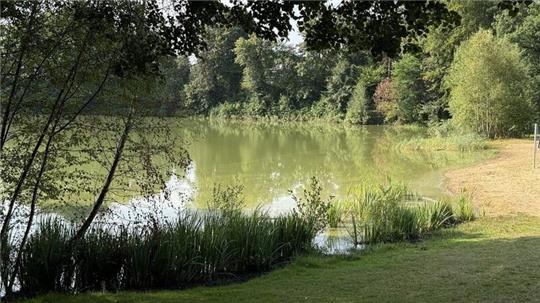In Ufernähe entdeckt man am Heidestrandbad in Hemmoor deutliche Hinweise auf das Algenwachstum.