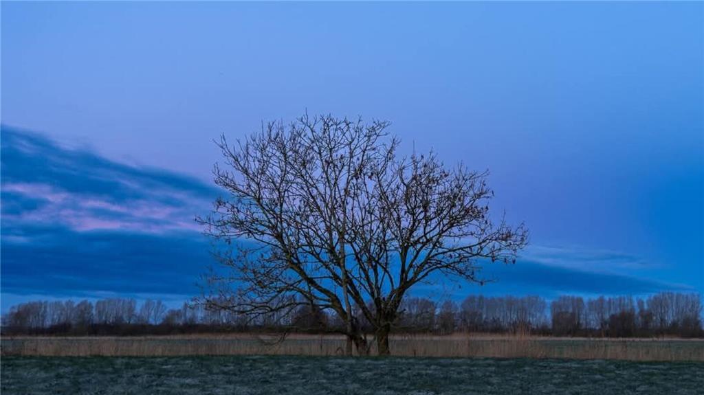 Blaue Stunde in Drochtersen von Manuela Zank. 