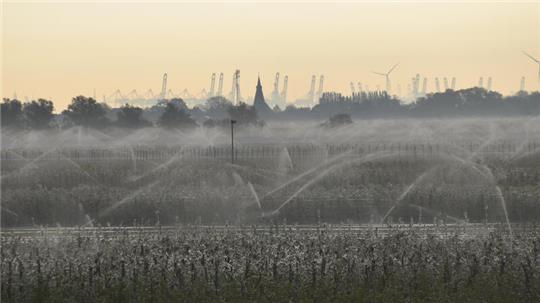 Blick am Dienstagmorgen von der A-26-Anschlussstelle Jork in Richtung Estebrügge und Hamburger Hafen. In den Obstplantagen laufen die Frostschutzberegnungsanlagen.