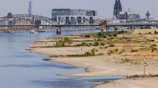 Blick auf Köln mit Sandbänken am Rhein.