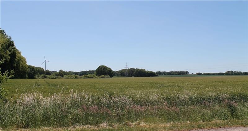 Blick auf das Meckelmoor zwischen Eilendorf und Immenbeck, wo jetzt Renaturierungsmaßnahmen durchgeführt werden sollen. Foto: Frank